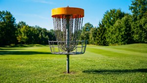 Park Basket Bright