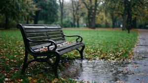 Park Bench Rain