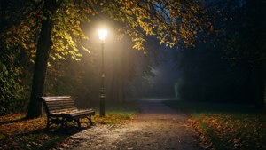 Park Bench Serenity