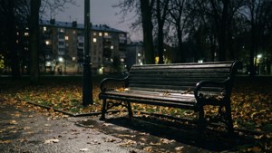 Park Bench Solitude
