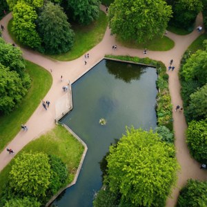 Park from Above