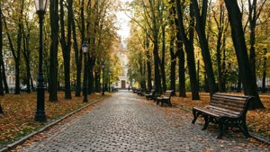 Park Path in Autumn