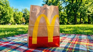 Park Picnic Bag