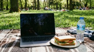 Park Picnic Laptop
