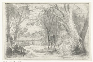 Parklandschap met hert