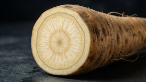 Parsnip Cross-Section