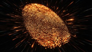Particle Fingerprint Nebula
