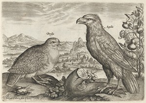 Partridge and Eagle