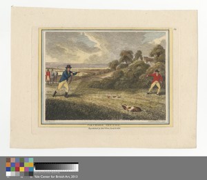 Partridge Netting