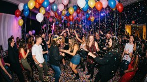 Party Vibe Wild