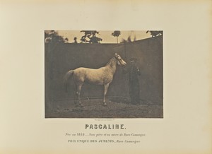 Pascaline