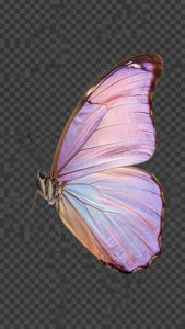 Pastel Butterfly Cutout