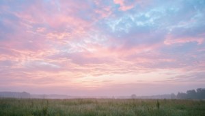 Pastel Dawn Dreamscape