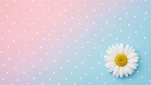 Pastel Dots and Daisy