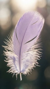 Pastel Floating Feather