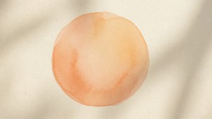 Pastel Orange Calm