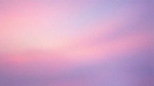 Pastel Pink Lavender Fade