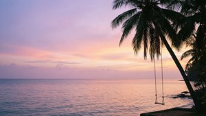 Pastel Sunset Swing