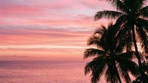 Pastel Tropical Sunset
