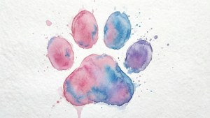 Pastel Watercolor Paws