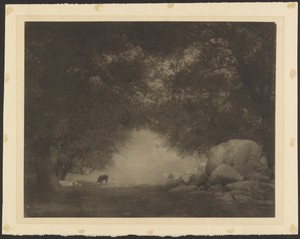 [Pastoral Landscape with Cow]