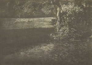 [Pasture with Sheep]