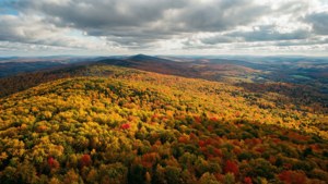 Patchwork Autumn Hills