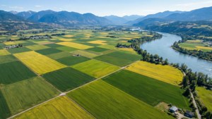Patchwork Farms of Abbotsford