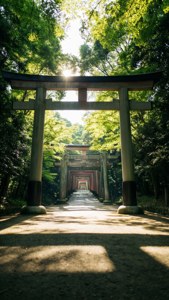 Path Through Torii