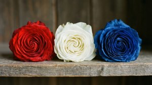 Patriotic Trio