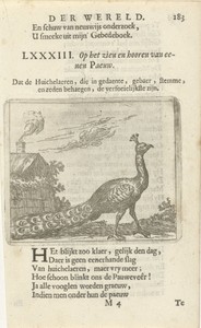 Pauw bij een huis