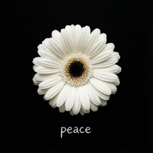 Peace Daisy Minimal