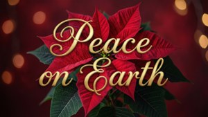 Peace on Earth Poinsettia