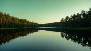 Peaceful Lake Reflection