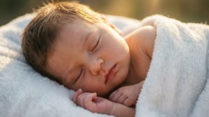 Peaceful Newborn Slumber
