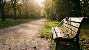 Peaceful Park with Cane