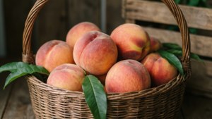 Peach Basket Soft Light