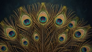 Peacock Feather Opulence