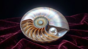 Pearl of the Sea