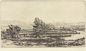 Peat-bogs (Les Tourbieres)