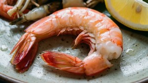 Peeled Shrimp Plate