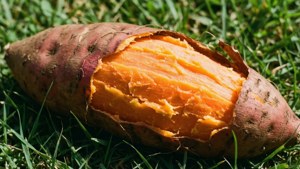 Peeled Yam on Grass