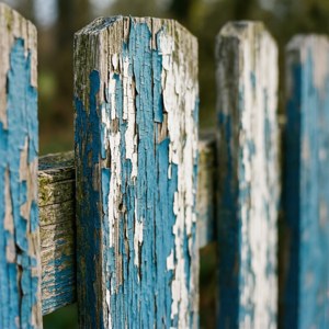 Peeling Paint Fence
