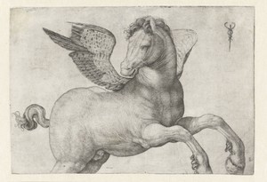 Pegasus