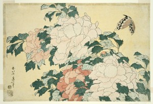 Peonies and Butterfly, from an untitled series of large flowers