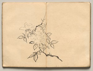 Peony from Ōkyo Picture Book