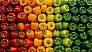 Pepper Color Gradient