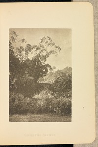 Peradeniya Gardens