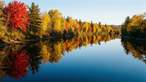 Perfect Reflection on Saguenay