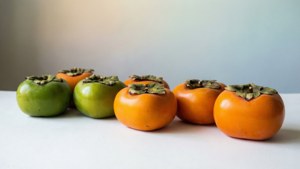Persimmon Color Gradient